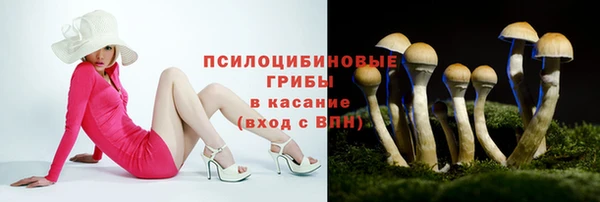 гидра Абаза