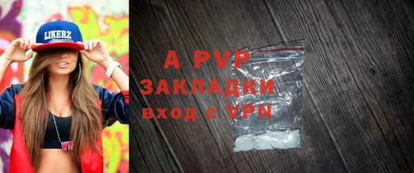 стафф Алексин