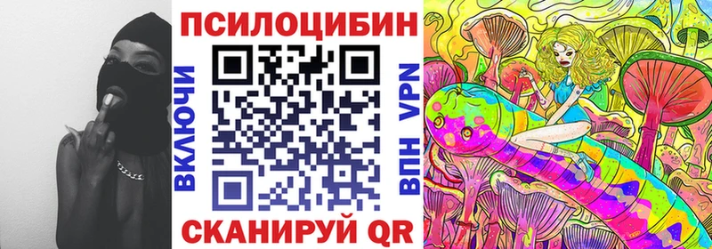 hydra вход  закладка  Саранск  Галлюциногенные грибы Magic Shrooms 