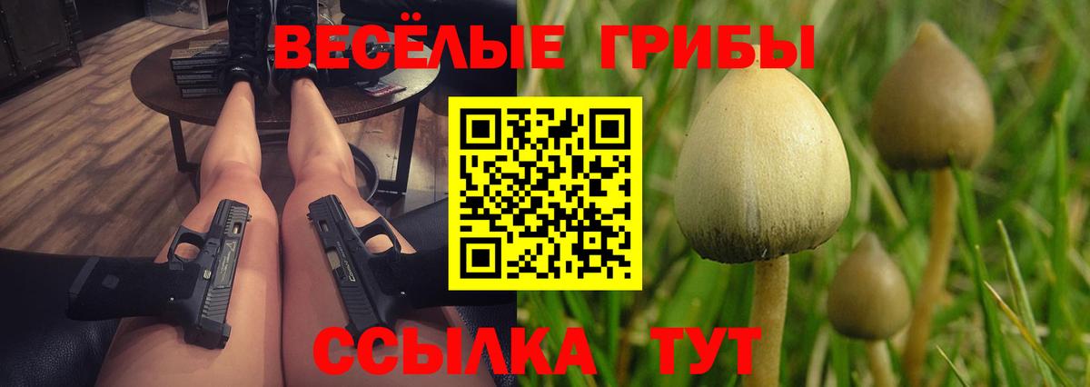 Саранск  Псилоцибиновые грибы прущие грибы  Вход с VPN 
